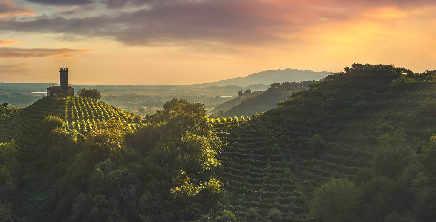 Col dei Franchi, Cacciatori di Uve