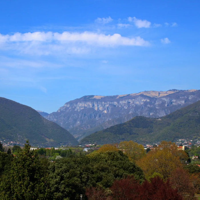 Pove del Grappa: La Conca degli Ulivi