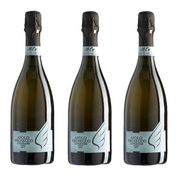 Asolo Prosecco Superiore DOCG Alicea Brut  -  La Caneva dei Biasio - vaigustando