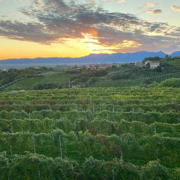 Strada Riela Rifermentato in bottiglia  -  Firmino Miotti - vaigustando