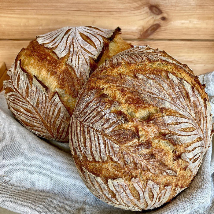 Durum Semolato di Grano duro  -  Mulino Terrevive - vaigustando