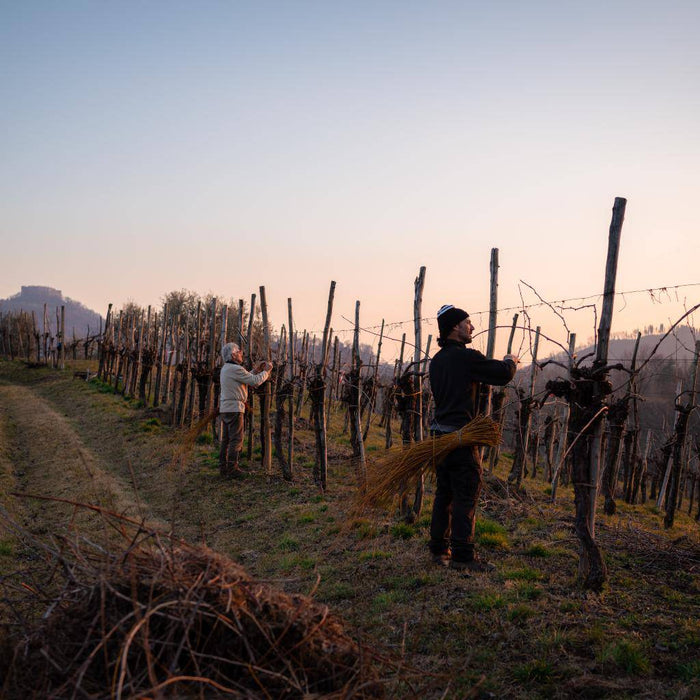 Asolo Montello Rosso della Rocca Cabernet Franc DOC  -  Pat del Colmel - vaigustando